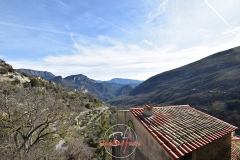LES FERRES near CARROS: Close to public car parks and in the village, 3-room apartment, with a living area of 38.40 m2, consisting of an entrance serving the living room with fireplace, a balcony, a kitchenette, a bedroom and an office, a bathroom wi...