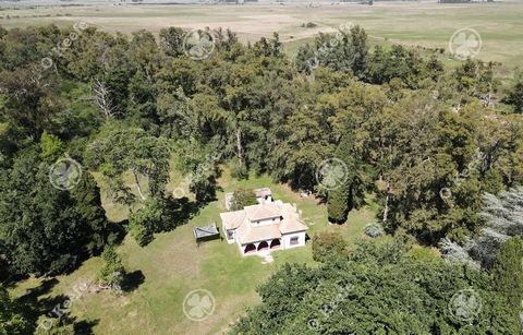 MIXED FIELD OF 228 HECTARES ON THE ROAD - STRATEGIC POINT FOR TAMBO DUE TO ITS PROXIMITY TO BUENOS AIRES AND THE NEW CATTLE MARKET   Location: Mixed field located on Route 29 in the town of Jeppener, Brandsen Party. Distance of interest: Buenos Aires...