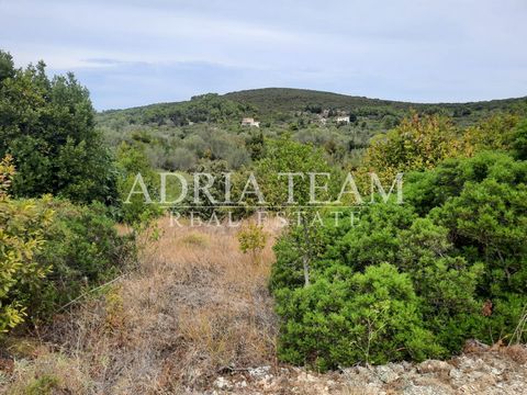 For sale BUILDING LAND of 649 m2 70 m from the sea in Brbinj on Dugi otok. The property consists of two parcels: one has 353 m2, while the other has 296 m2. It is located right next to the road. PROPERTY DESCRIPTION: - calm and quiet position; - it i...