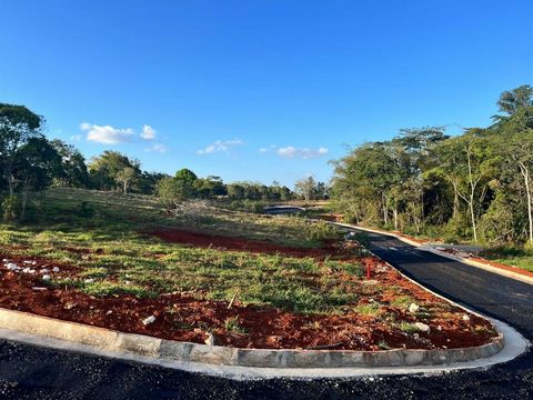 Cool, cool Manchester - this lot is in the new Pine Grove Estate. Tucked away in the lush hills, this development is surrounded by pine trees and bamboo, this development has all infrastructure in place and more - light, water, close to university, o...