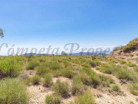 This plot measures approximately 3,500m2 located close to the villages of Archez and Canillas de Albaida, approximately 25 minutes drive from the coast and an hour from Málaga airport. From the site there are stunning views of the surrounding countr...