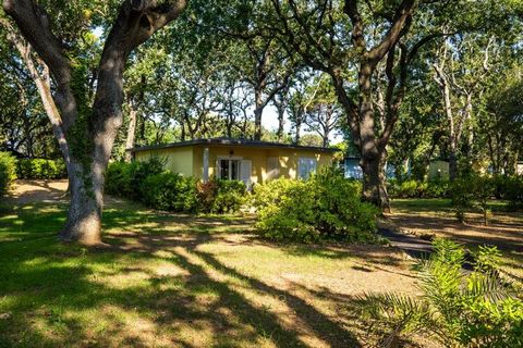 Family-friendly holiday complex directly on the beautiful, private sandy beaches near the town of San Vincenzo. The bungalows and the residence are spread out over a spacious area under tall holm oaks and shady pine trees in the middle of a well-kept...