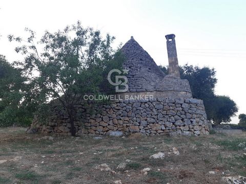Coldwell Banker, offers for sale, exclusively, a characteristic 4-cone Trullo in San Vito dei Normanni with a centuries-old olive grove and dry stone wall on the side of the asphalted road, an internal crossroads of the provincial road. In addition t...