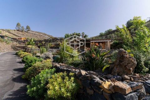 This spectacular finca situated in the area of Chío, Guía de Isora, Tenerife South, consists of approximately 10.000 m2 in which there are 3 independent studios with bathroom and kitchen, a house with 3 bedrooms, living room, fully equipped kitchen a...