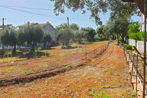 Description Urban land of 3171m² with housing of 50m², in Vila Nova Poiares. The house is 50 meters long, has 3 bedrooms. With a privileged geographical location due to the fact that one of the fronts is very close to the mythical National 2, known a...