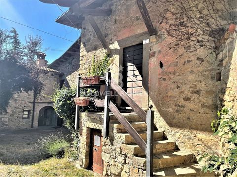 Canossa (RE) Borgo - Bed Breakfast - Land - Hilly Ancient village in the Reggio Emilia Apennines whose first traces of settlement date back to 1500, you can still observe the vaulting stones with the year of construction imprinted (1536), massive per...