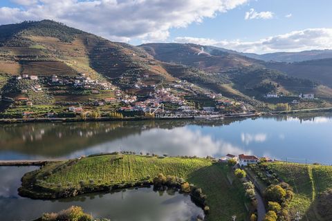 Located in the International Douro wine region, integrated in the Denomination of Controlled Origin (DOC), this 16-hectare vineyard property with stunning views over the Douro River, is located on the right bank of the Douro River between Régua and P...