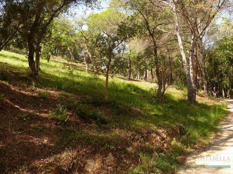 Urban plot of land in Solius, with 1842 m², 1842 m² plot meters, urban, southwest facing. OPPORTUNITY! LARGE PLOT IN QUIET AREA OF SANTA CRISTINA DE ARO. REF: 2001. PLOT OF 1,842 M² TO BUILD A HOUSE ON TWO FLOORS. VERY GREEN, RESIDENTIAL AND QUIET AR...