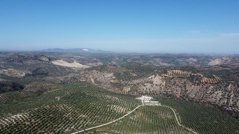 Hacienda and working olive farm comprising of 24,000 olive trees (Types: Hojiblanca, Marteña Picual, Manzanillos) situated on a plot totalling 2,938,027m². It is one of the few farms to have a legal water concession of 235,000m³ per year and two 30 m...