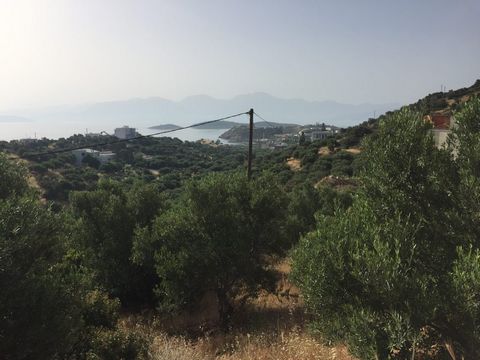 Located in Agios Nikolaos. Plot of building land, nicely positioned on the slope of a hill, right next to the village of Katsikia, only a 5-minute drive north of the tourist town Agios Nikolaos, provincial capital of Lasith (East Crete). From its ele...