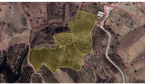 Discover a natural haven of tranquility and potential in Vale da Zorra, just 9 minutes from Castro Marim! It is with great enthusiasm that we present these two adjacent rustic plots of land (2 articles), offering a unique opportunity for investment i...