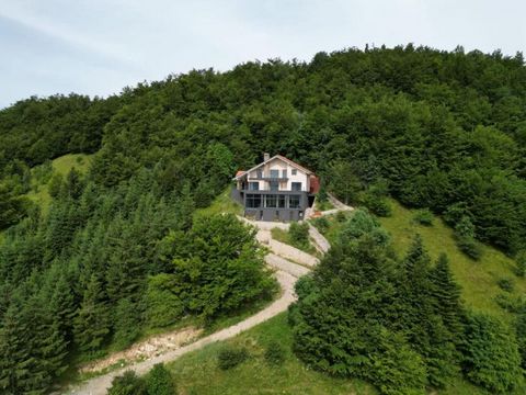 Prix promotionnel de 690 000 euros en cas d'achat de la villa avec l'entreprise ! Il appartient à une société croate et vous pouvez en acheter 100 % des actions, en économisant 3 % de droits de mutation immobilière ! Villa de luxe dans la région de D...