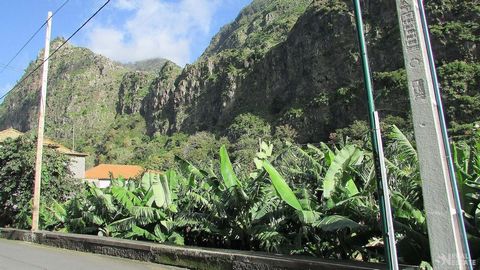 Located in Ribeira Brava. Agricultural land with 460M2 on the side of the road in Meia-Légua - Ribeira Brava With several fruit trees: -Banana - Annoneiras - Guava trees -Hoses -Orange trees A 5-minute drive to Ribeira Brava where you will find all s...