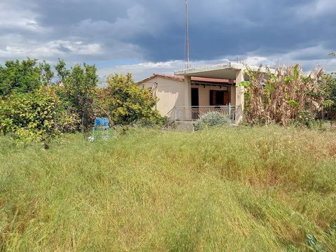 Location: Paralia Markopoulou. Clean plot 893 sq.m. with detached house 78.95 sq.m. and 100 sq.m basement, in a quiet area. On the plot there are trees with a well, barbeque and 3 parking spaces. Easily accessible with a private dirt road, 50 meters ...