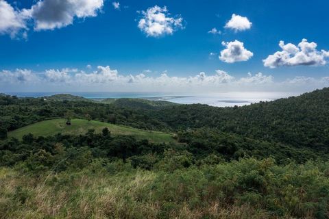 Spectacular, dramatic and buildable parcel consisting of 7.52 acres located on the North side of the West end of St. Croix where the cerulean waters are crystal clear and the beaches are sandy. This private ridge line homesite is ideal for sunset vie...