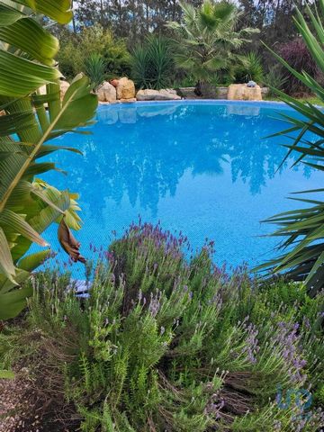 A sua casa T2+2 no Algarve rodeada por uma paisagem luxuriante! Esta bonita casa de campo, completamente renovada em 2021, oferece-lhe todo o conforto, a poucos minutos da orla marítima, das bonitas praias de Albufeira no Algarve e das belas montanha...
