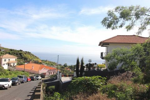 Luminous 310m² plot in the Palmeira area, just a few steps from services, close to Escola da Palmeira and minutes away from the Santa Cruz downton. This land, with construction feasibility, is strategically located in an ideal area for building the h...