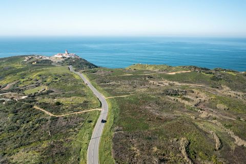 This is an incredible plot of 15000 m2 located in the undeveloped area of Cabo da Roca, Praia da Ursa, Azoia, Sintra. With breathtaking views of the ocean and wild nature, this is the perfect place for those looking for privacy and tranquility. The l...