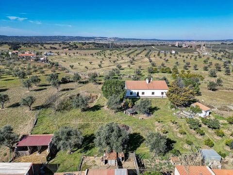Farm with 8,000m2 of total area, 1 recent house with 93 m2, artesian hole, many fruit trees, 50m from the town of Igrejinha - Arraiolos and 2km from the Divor Dam. Located in Courela da Estrada de Arraiolos, this farm with completely flat and fenced ...