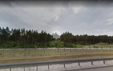 Waldgrundstück zum Verkauf mit einer Fläche von 1,4696 ha in der Woiwodschaft Kujawien-Pommern, in der Gemeinde Aleksandrów Kujawski, in der Stadt Kuczek. Das Grundstück ist mit mehreren jahrzehntealten Bäumen bewaldet. Das Grundstück ist nicht im Be...