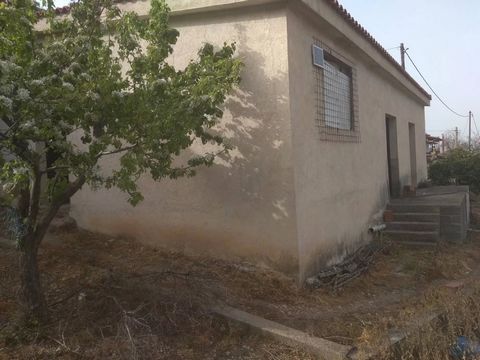 The house is under construction. It is 90 sq.m. in a plot of 300sq.m. It is located in the mountain village of Aigio, which called Melissia. It is a green village in which there is the river of Selinoundas. The price of the house is 35.000. It can be...