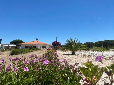 Estate, typical from Alentejo, located in a quiet area with 14ha, less than 30 minutes away from the best beaches of the Alentejo coast. The remaining land has several fruit trees, pine trees, cork oaks and a vegetable garden with an automatic wateri...