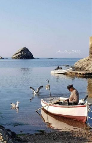 Soy una parcela ubicada en un lugar idílico en Cadaques, llena de encanto y con unas vistas al mar que te dejarán sin aliento. Tengo un total de 696 metros cuadrados, ideales para poder construir la casa de tus sueños. Me encuentro rodeada por el Par...