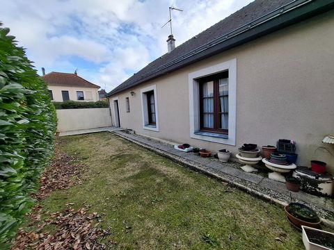 photo no. 8