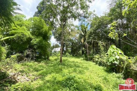 Almost 7.5 rai of prime location land (7-2-21.7 Rai) is for sale in Thalang, Phuket. The plot is a good size land flat plot and rectangle-shaped. It is surrounded by many villas.The width next to the public road is approximately 60 meters, and the le...