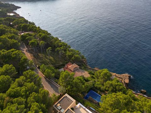 BARNES präsentiert diese spektakuläre Villa im mediterranen Stil, die direkt am Meer in Begur liegt. Umgeben von einer unvergleichlichen natürlichen Umgebung, zwischen üppigen Pinienwäldern und dem kristallklaren Wasser des Mittelmeers, bietet dieses...