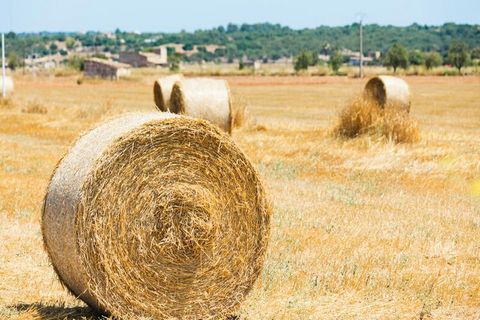 Casa Ses Terroles: Uroczy dom w sercu Santa Margalida na Majorce. Z 4 sypialniami i 2 łazienkami, jedną łazienką i jedną sypialnią na parterze, ten dom jest idealny dla rodzin i grup. W pełni wyposażona kuchnia, taras ze stołem, krzesłami i małym bas...