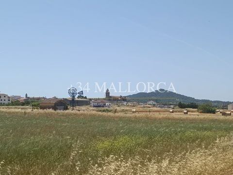 Rustikales Grundstück mit einer Fläche von 3.440 m2 mit sehr einfachem Zugang von der Straße Petra - Manacor. Es ist ein Grundstück, das völlig flach und ohne dichte Vegetation ist, wo zuvor Getreide gepflanzt wurde. Ideal, um Ihren eigenen Garten nu...