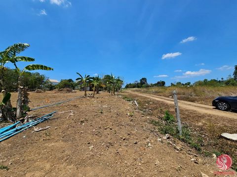 We Sale attractive 1 rai (1600 sqm) Land plot near The Blue Tree (Bangjo) for 14M THB -Location: Bangjo (just 6 min to Blue Tree) - Size: 1 rai (1600 sqm) - Price: 14M THB - Water - ⚡ Electricity - ️ Good road access - Yellow zone - Red Chanote - All...