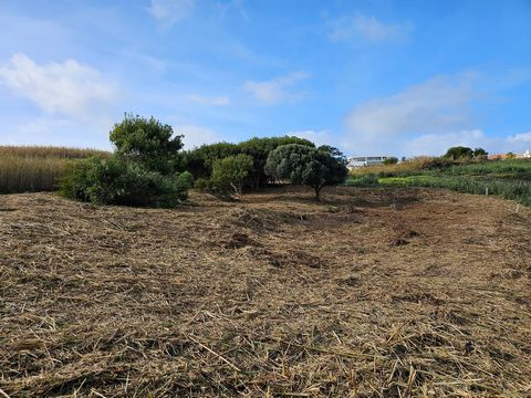 For quick sale - Exclusive Land in Facho, Foz do Arelho Ideal for the Home of Your Dreams! Premium Location This flat plot of 1,502m² is located in one of the most desirable areas of Foz do Arelho the prestigious Facho surrounded by luxurious villas ...