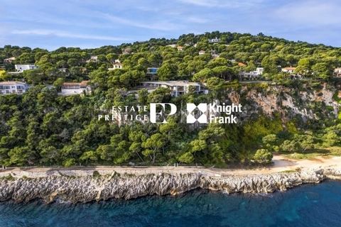 Een zeldzame villa aan zee op Saint-Jean-Cap-Ferrat, gebouwd in de jaren 1960 in opdracht van een gerenommeerde Hollywood-regisseur, dit uitzonderlijke pand ligt op 6.800 m² grond en biedt een panoramisch uitzicht en directe toegang tot de zee. Door ...