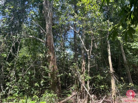 Explore an exceptional opportunity with this 202.8 square meters of prime vacant land for sale in Tha Yu, Phang Nga. This parcel of land is not only conveniently located but also offers the benefit of easy access to essential utilities including elec...