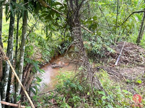 Discover a great opportunity to own a 7-rai palm plantation land adjacent to a canal near the famous tourist destination, Ban Tonnam Tondin in Tham, Takua Thung District, Phangnga. This land boasts approximately 119 meters wide and 106 meters long, w...