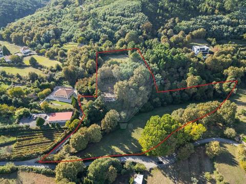 Fantástica quinta com 13.500 m² para restauro situada em Borbelinha, na freguesia de Adoufe, a apenas 5 minutos da cidade de Vila Real. É uma excelente oportunidade para investimento que conta com uma ampla moradia em pedra para restauro, tanque de á...