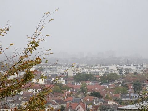 photo no. 2