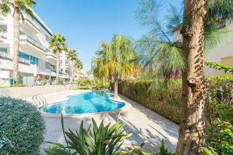 Discover your new home in the heart of Orihuela Costa! This modern apartment in the sought-after area of ​​Los Dolses offers an unrivalled lifestyle, combining comfort and elegance in its 87 m² of surface area. With a charming 19 m² terrace, you can ...