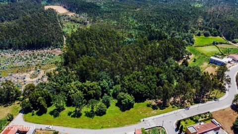 Grundstück im Zentrum von Albergaria, mit einer Fläche von 18.000 Metern2 Diese Immobilie stellt eine außergewöhnliche Gelegenheit für Investoren/Bauherren dar, die ein Wohnprojekt entwickeln möchten. Grundstück im Zentrum von Albergaria, einem Anbau...