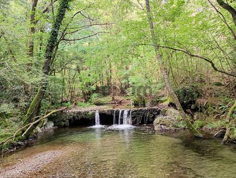 Envie d'un retour à la nature ? Au cœur des Cévennes méridionales, à seulement 10 minutes de Génolhac et au pied du Mont Lozère, cette propriété agricole d’environ 11 hectares vous offre un cadre de vie exceptionnel. Vous serez séduit par la tranquil...