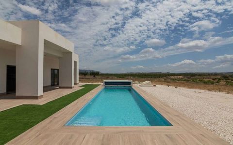 Raspay Villa is a modern and functional design that optimises residential living on a single floor, with a built area of 123.20 m². The main area combines the living room and kitchen into a spacious 39.85 m² space, designed to be the heart of family ...