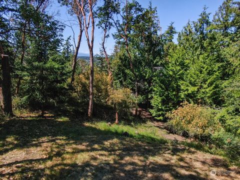 Situated on the top of Morgan Hill sits this rare double lot offering wonderful western exposure. Bring your imagination--it's time to build that dream house you've always wanted in one of the most coveted neighborhoods in Port Townsend. Potential vi...