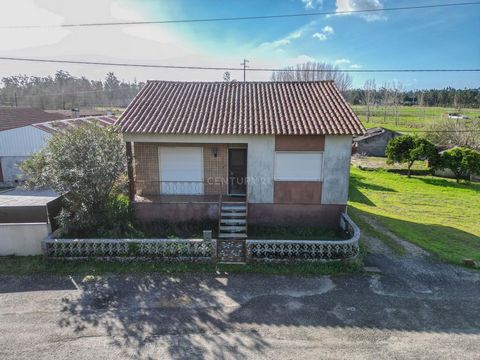 Maison individuelle de 2+1 chambres avec garage, annexes et terrain à Cunhas, Moinhos da Gândara Figueira da Foz Je vous présente cette charmante maison individuelle de 2+1 chambres, située à Cunhas, à Moinhos da Gândara, Figueira da Foz. Avec une ex...