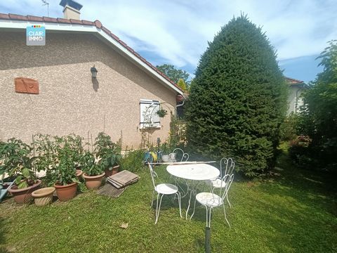 photo no. 8