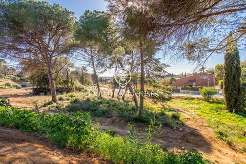 À Sant Andreu de Llavaneres, dans l’un des meilleurs quartiers résidentiels, Bell Aire, vous trouverez ces magnifiques terrains, situés près de Port Balís. Avec un accès direct à l’autoroute à seulement 200 mètres et entouré de services tels que crèc...