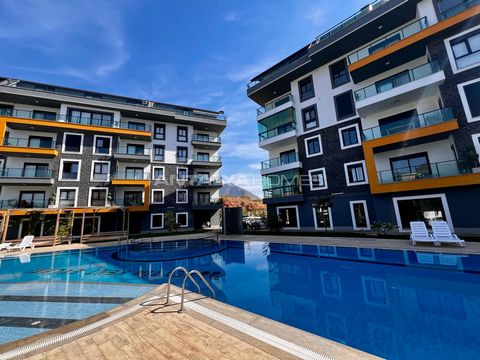 Properties in a Complex with Swimming Pool in Alanya Oba The ... are located in the Oba district. Alanya is one of the most sought-after holiday centers in the Mediterranean and is an ideal residential area for permanent living and investment. The di...