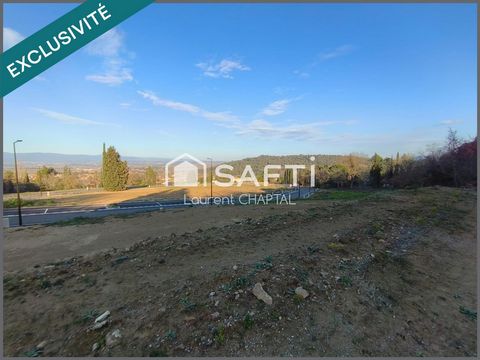 photo no. 2