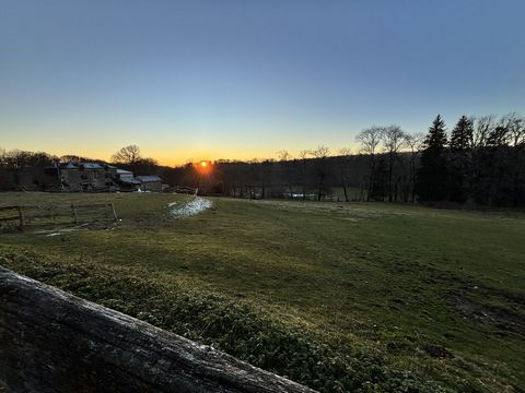 photo no. 5